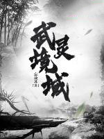 武灵境域武灵境域