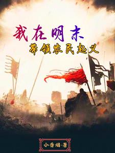 穿越明末，我率先举起义旗穿越明末，我率先举起义旗